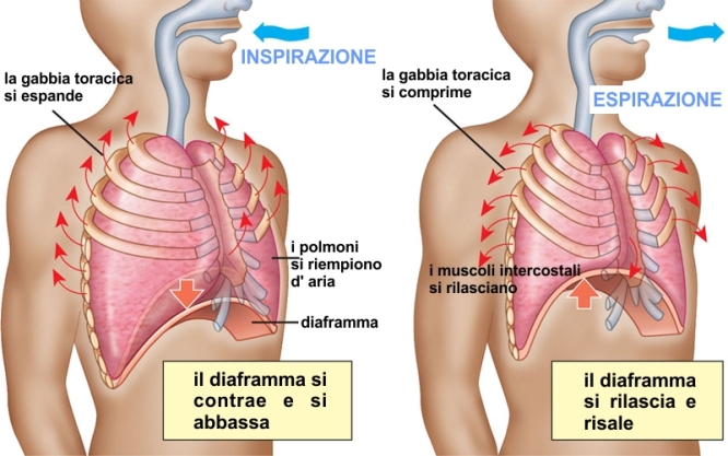 Come eseguire una respirazione completa e corretta che guarisce